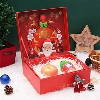 Christmas 3D Santa Decorative Gift Box